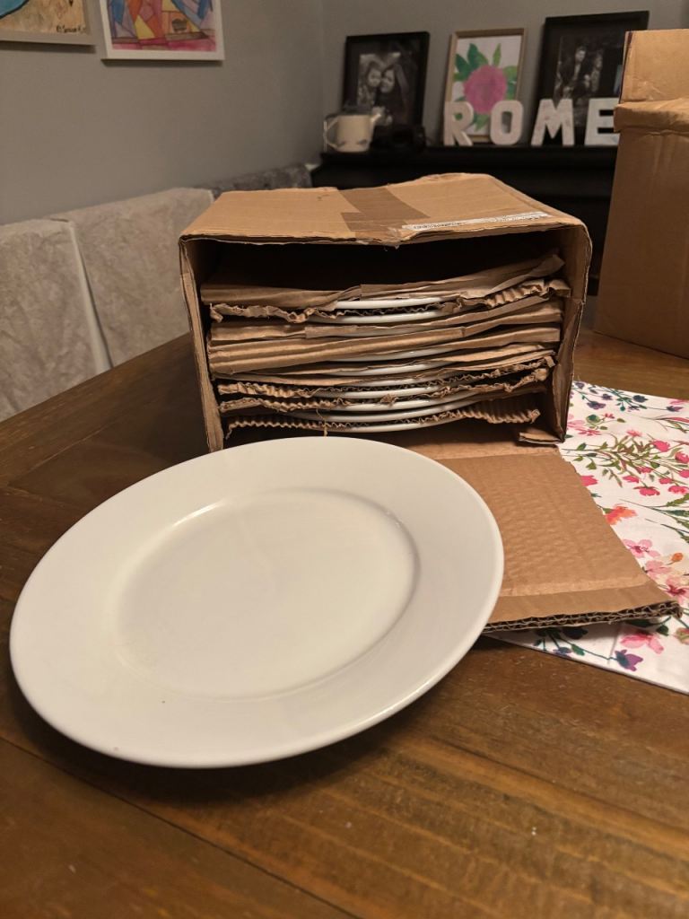 Athena 10 inch wide rimmed white main plates