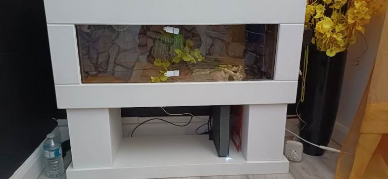 White moden stylish vivarium with stand