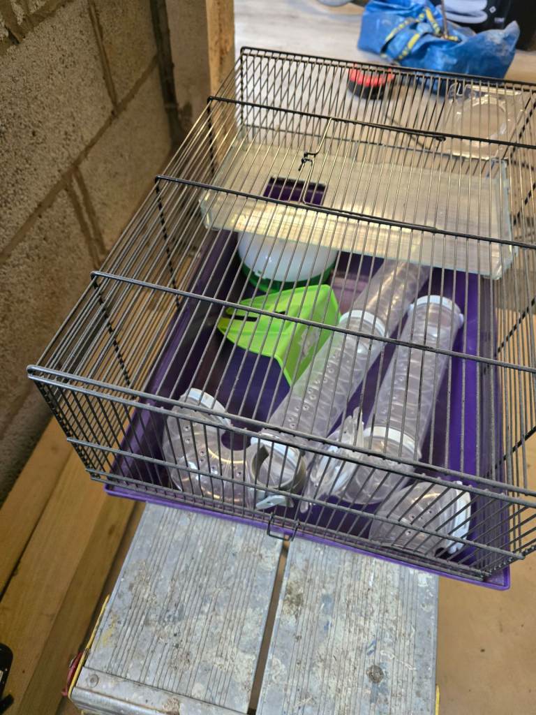 Guinea pig cage