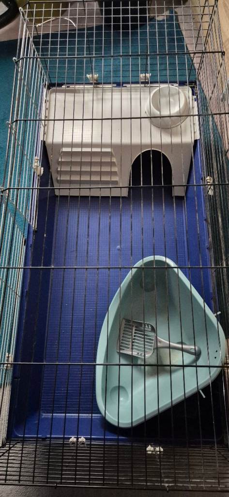 Indoor Rabbit/Guinea pig hutch with bedding and food