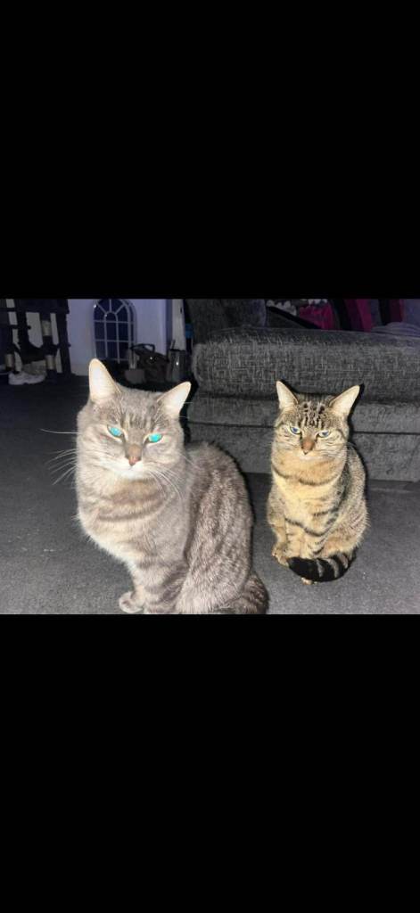 Two loving brother and sister 