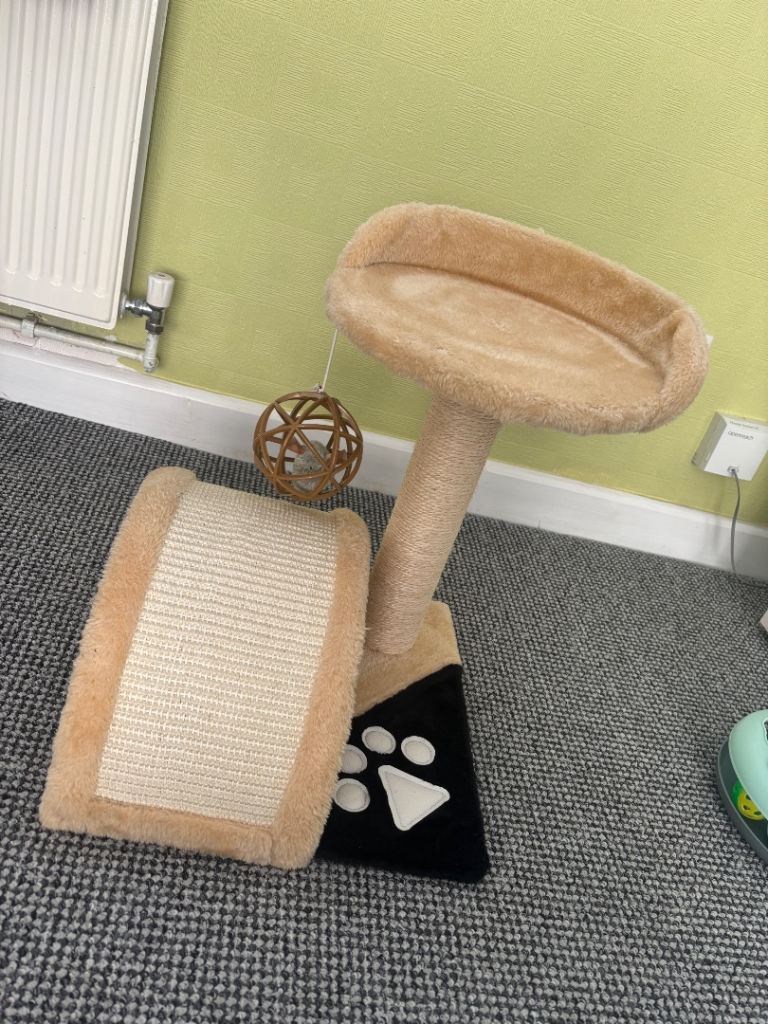 Cat scratch post 