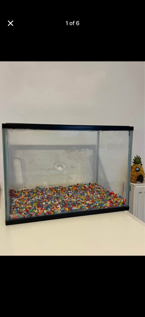 24L Fish Tank & more