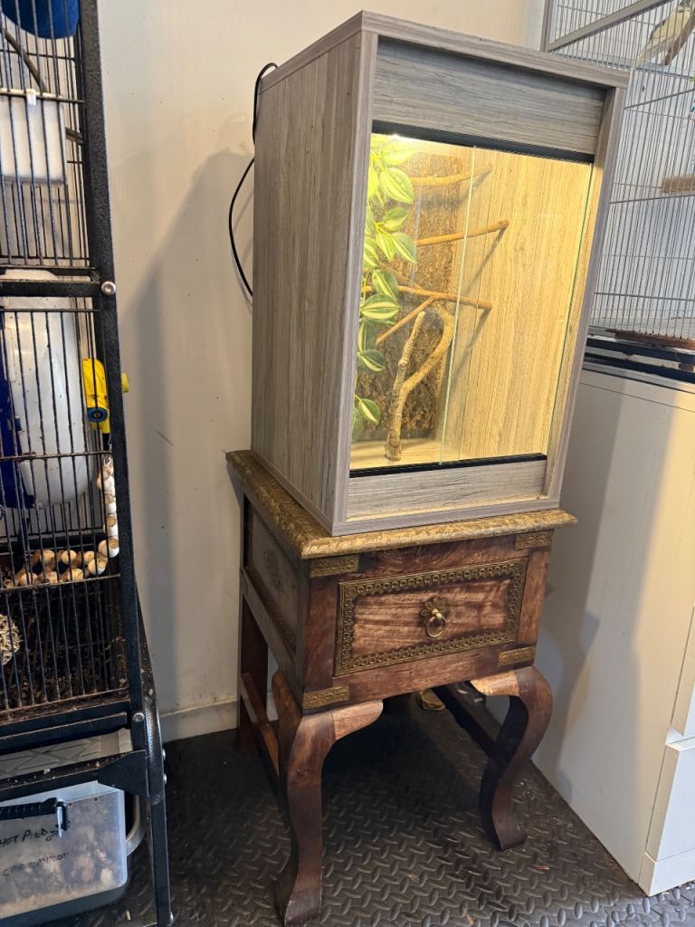 Reptile vivarium 