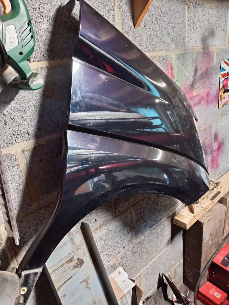 Elgrand e51 driver side wing. 