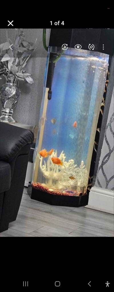  fish tank 