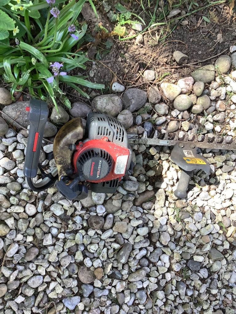 Petrol hedge clippers