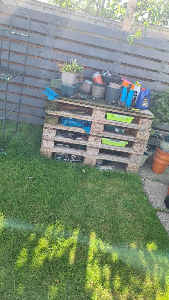 4 free pallets