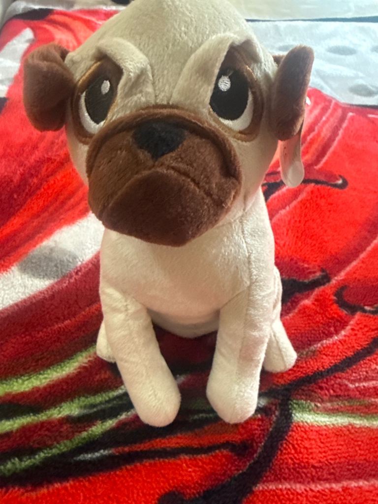 Pug teddy