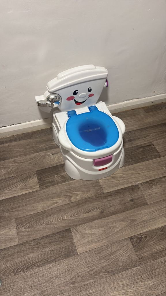 Fisher-Price Learn-to-Flush Potty - White & Blue