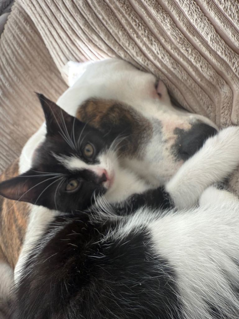 Last female remaining 