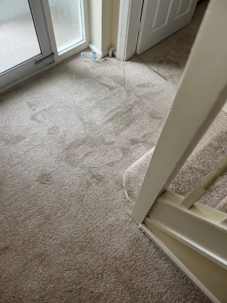 Professional Carpet & Laminate Flooring Fitters | Competitive Prices