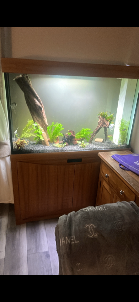 Clear aquatics 4 foot tank sumped