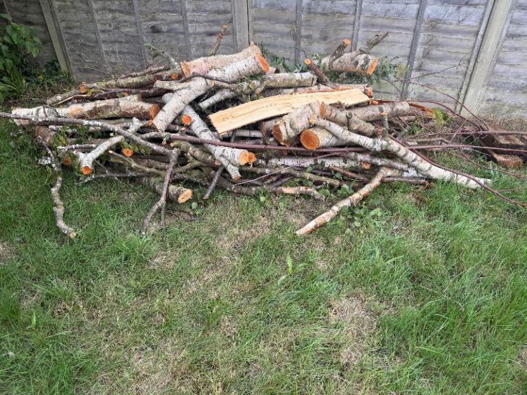FREE logs/wood 