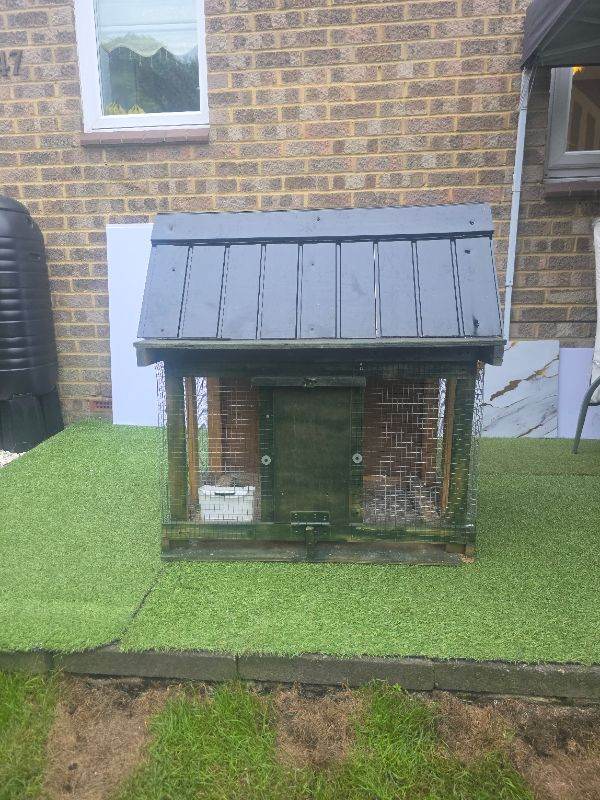 Birds cage 
