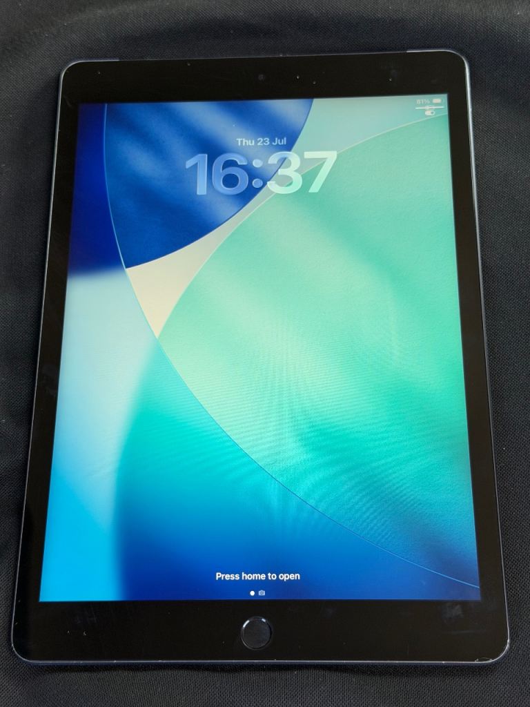iPad 9th gen WiFi cellular 256