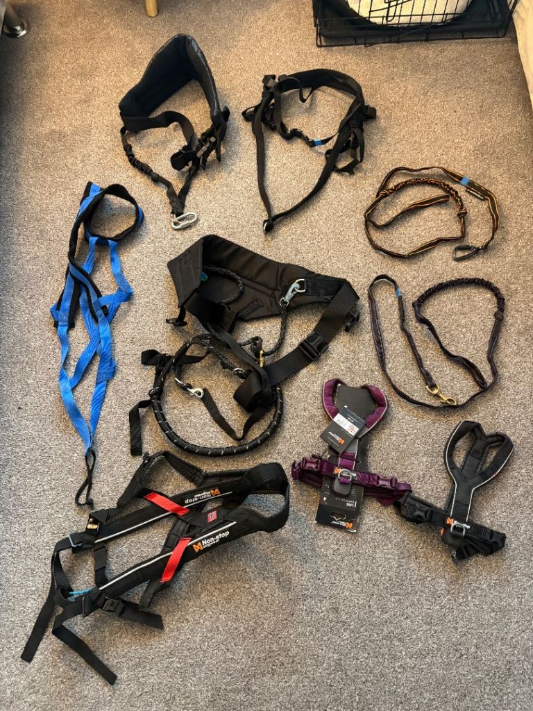 Cani Cross Equipment