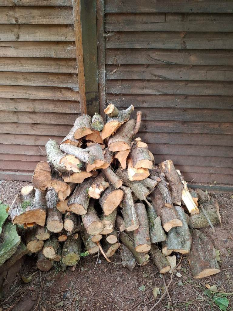 Load of logs