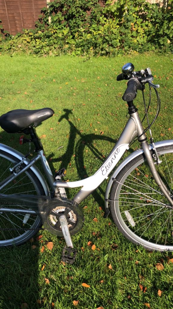 Cheap Ladies commuting /mountain bikes serviced some with mudguards 