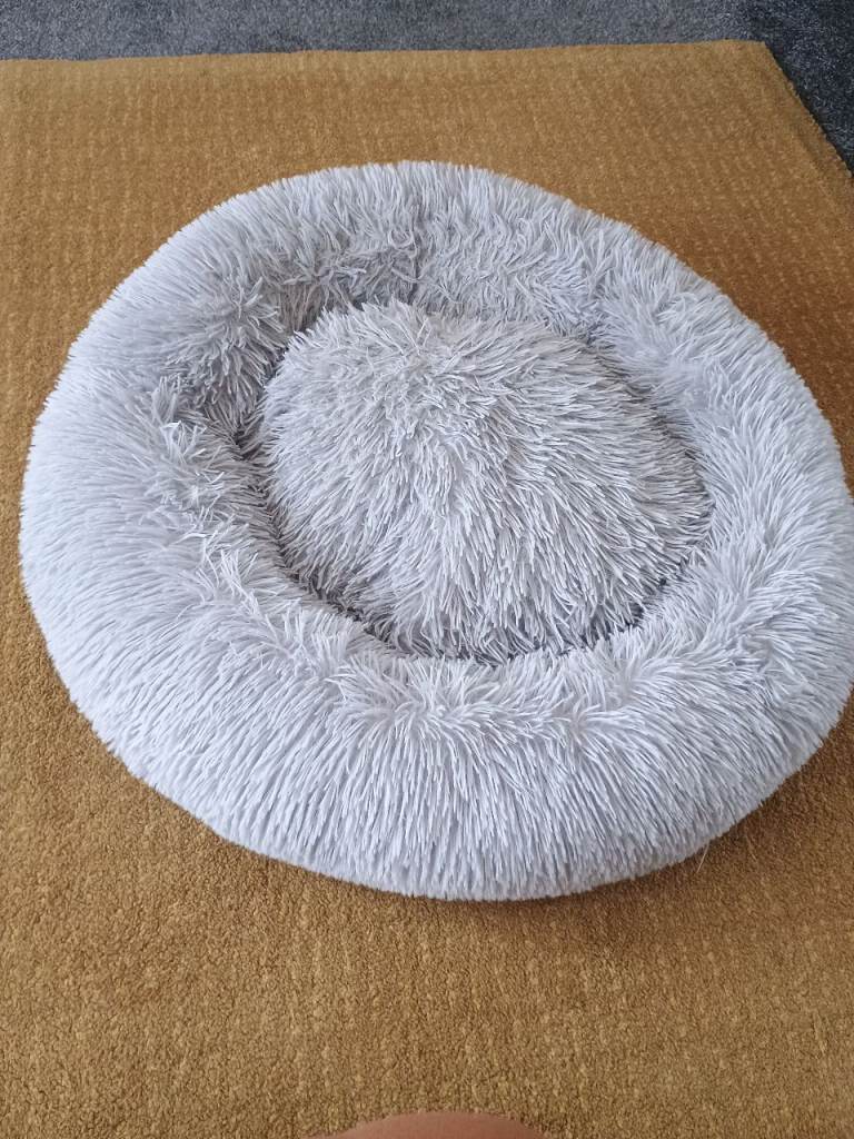 Cat items for sale 