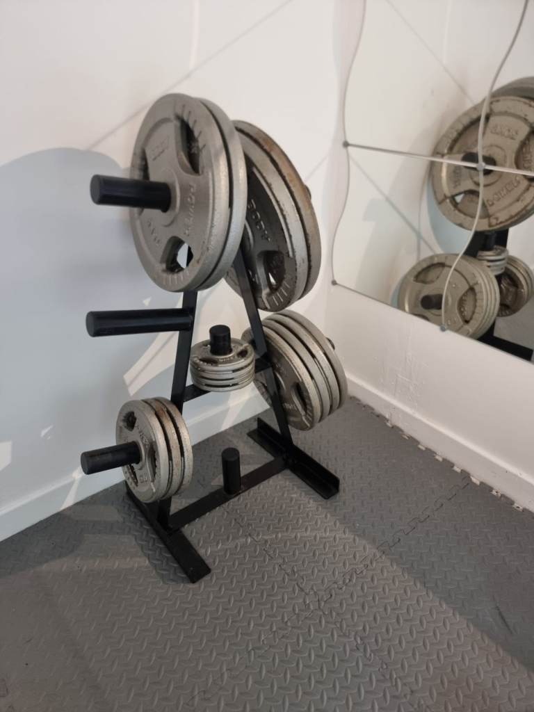 Weight Plate Tree Rack with Plates – Good Condition