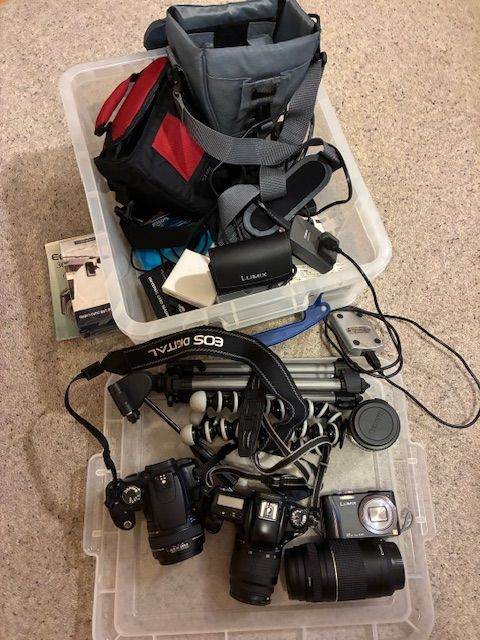 Camera Bundle with 2 Canon EOS, Tripods, and Bags - excellent for beginner