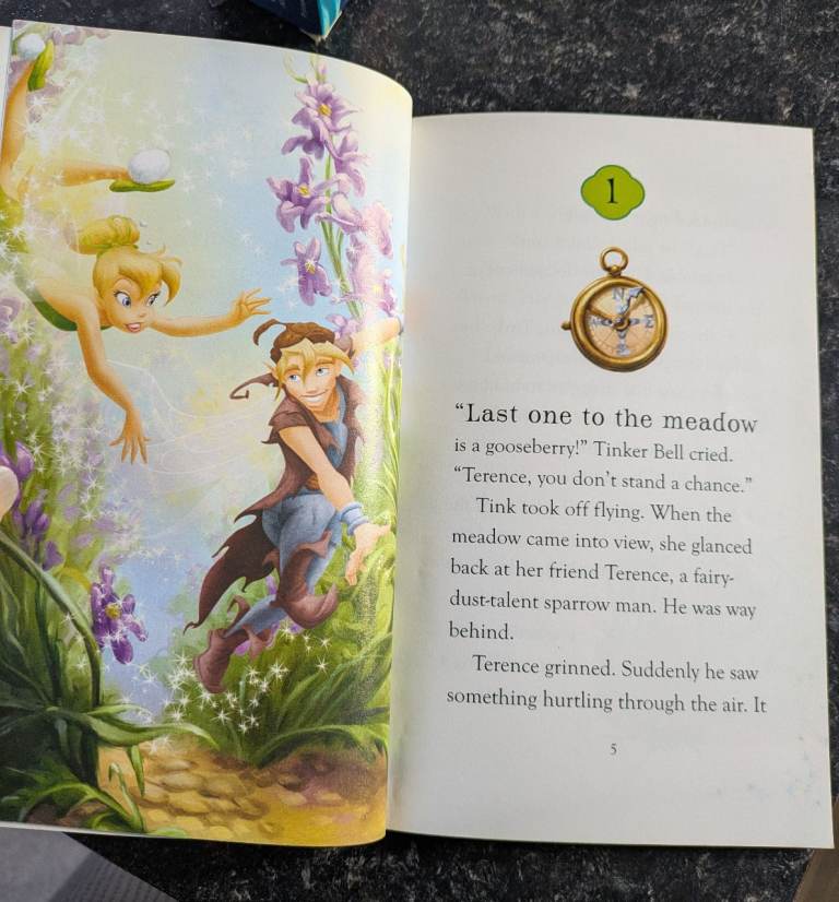 Disney fairy book bundle 