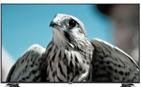Toshiba 43inch Smart tv model number 43U6663DB