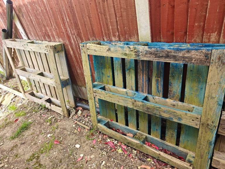 Wooden pallets - FREE to collect 