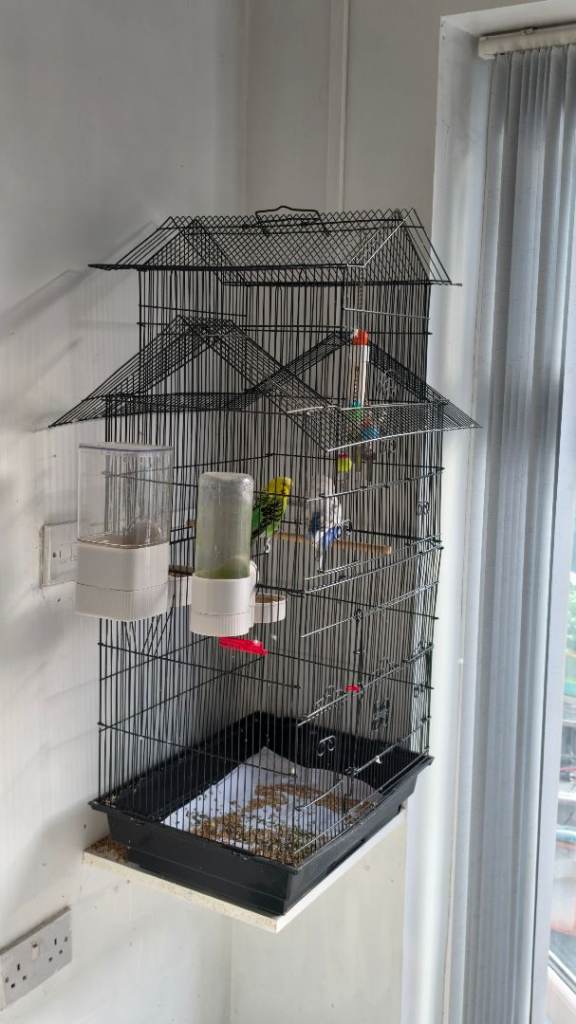 Free bird cage with food and water feeder. 