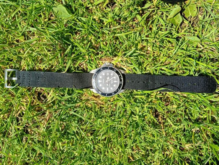 Men's Timex Divers watch