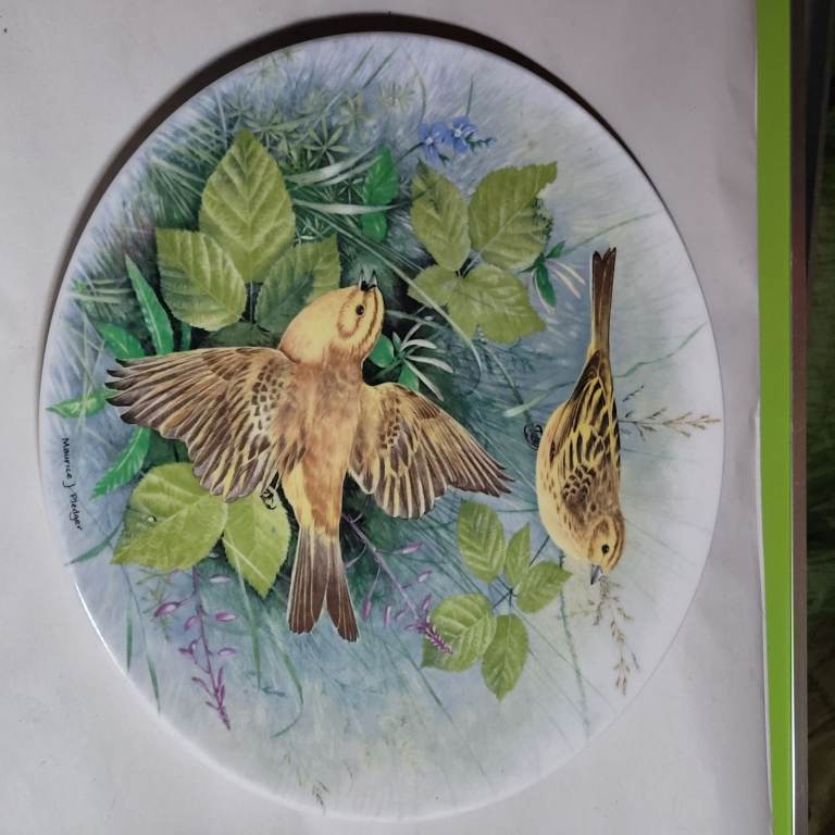 Royal Doulton 'Yellowhammer' Collector's Plate – Birds of the Hedgerow d1
