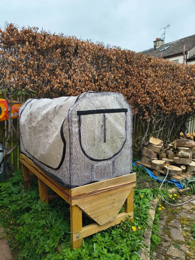 Veg trug XL with polytunnel