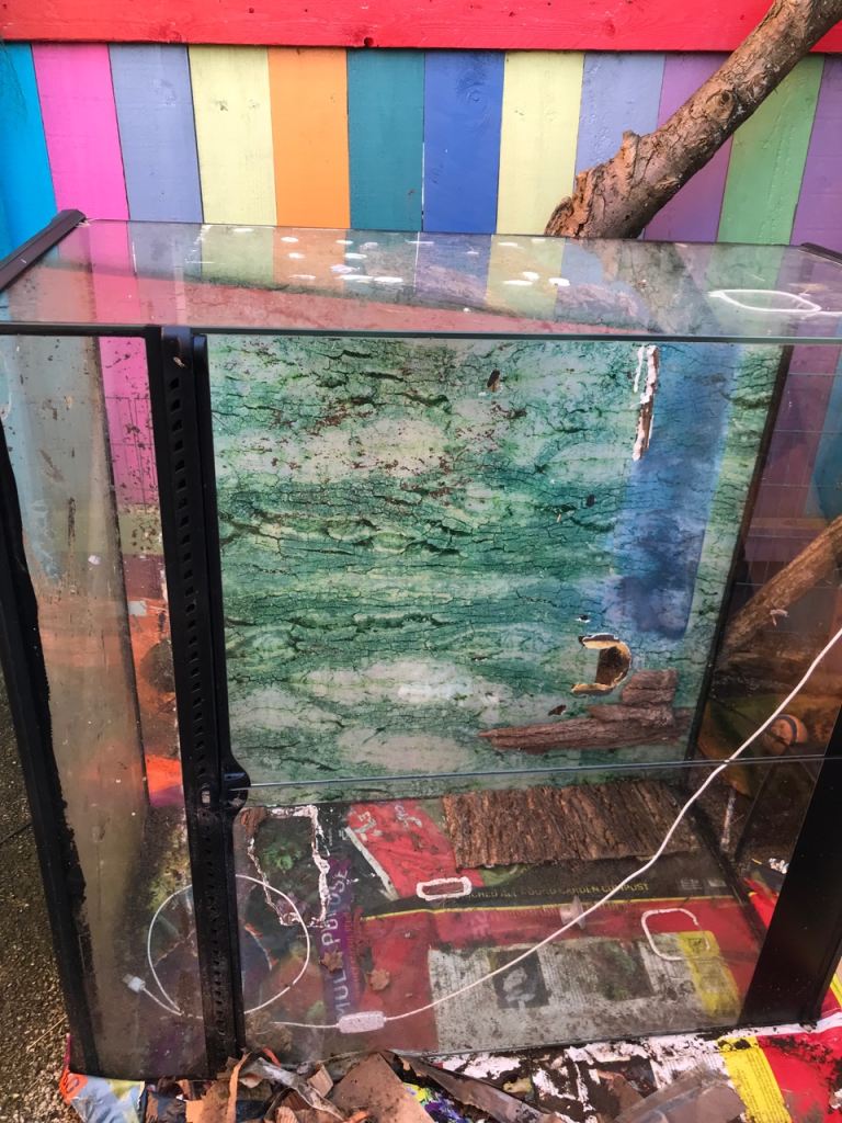 Exo Terra 90x90x45 cm Vivarium reptile