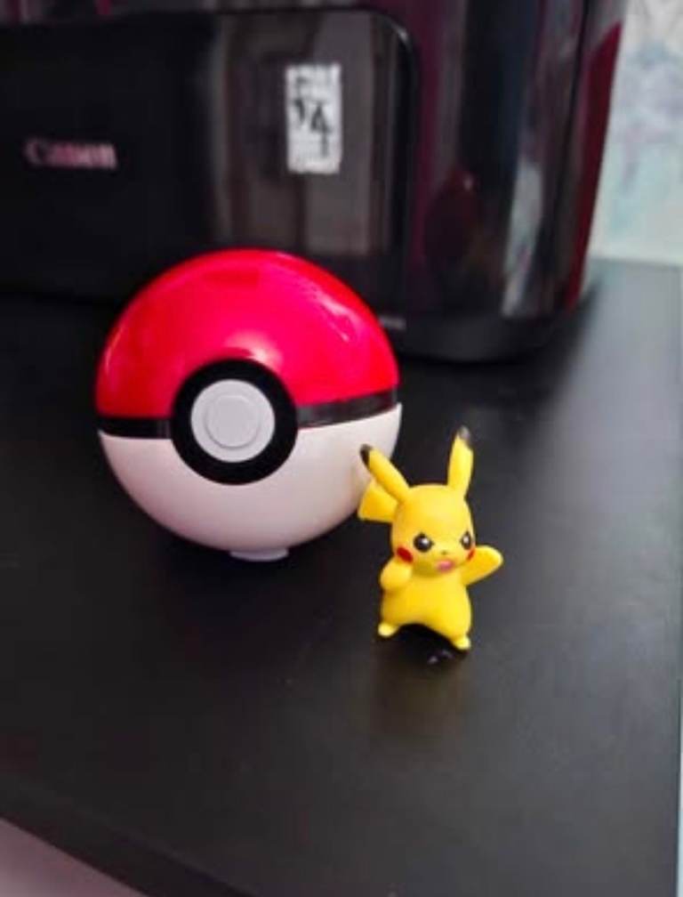 Pikachu And Poke Ball
