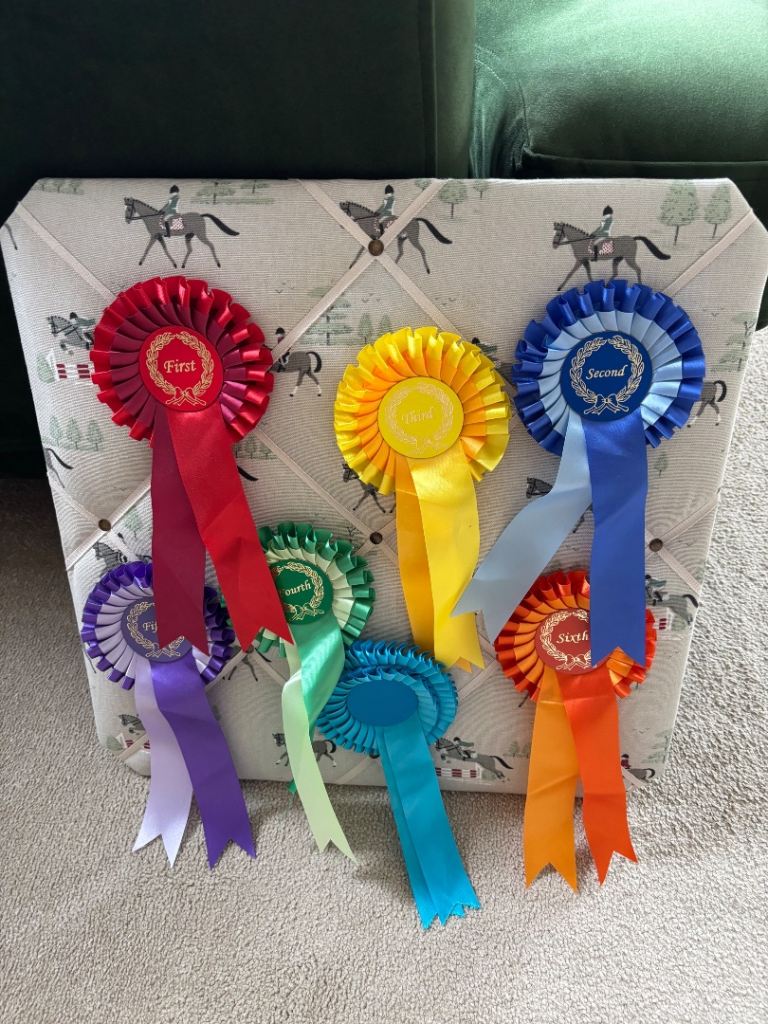 Rosette board with horse pattern