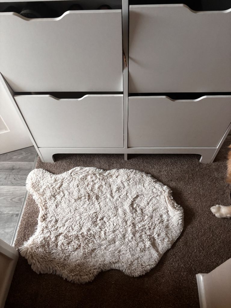 Shoe storage 
