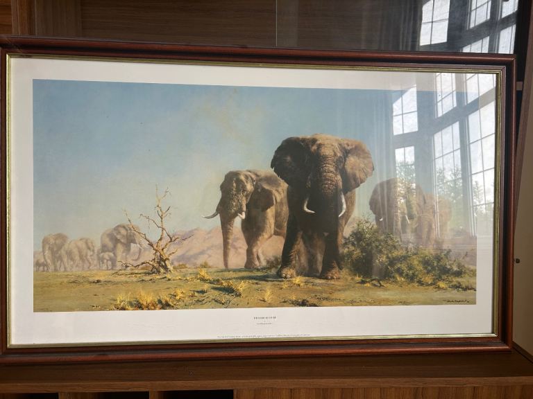 Elephant print the Ivory is Theirs by David Shepherd 