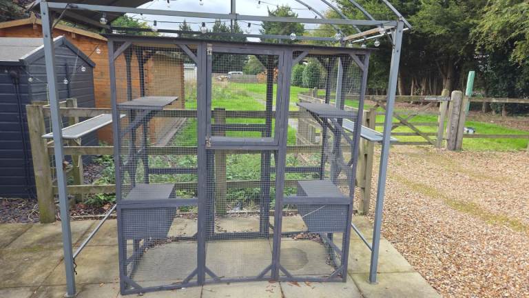 Catio