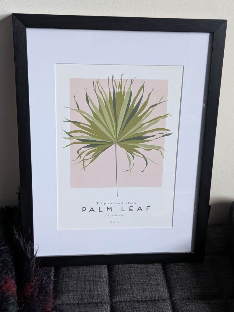 Framed art print