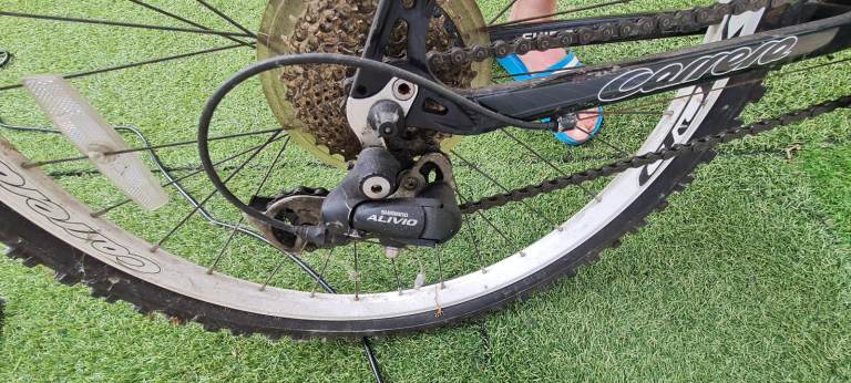 Adults Carrera mountain bike 