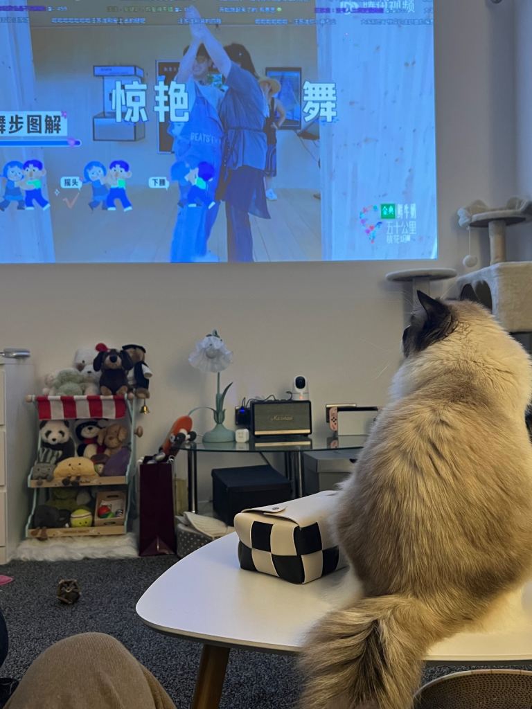 Le toy van - market play shop