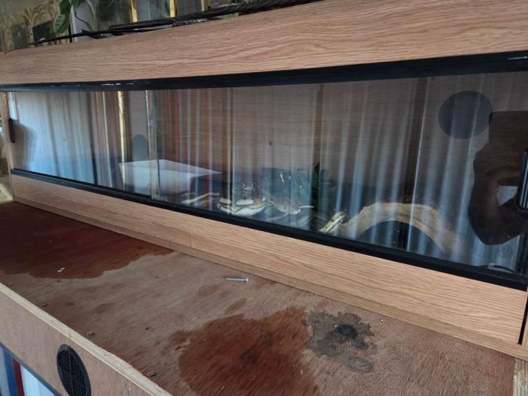 4 foot vivarium