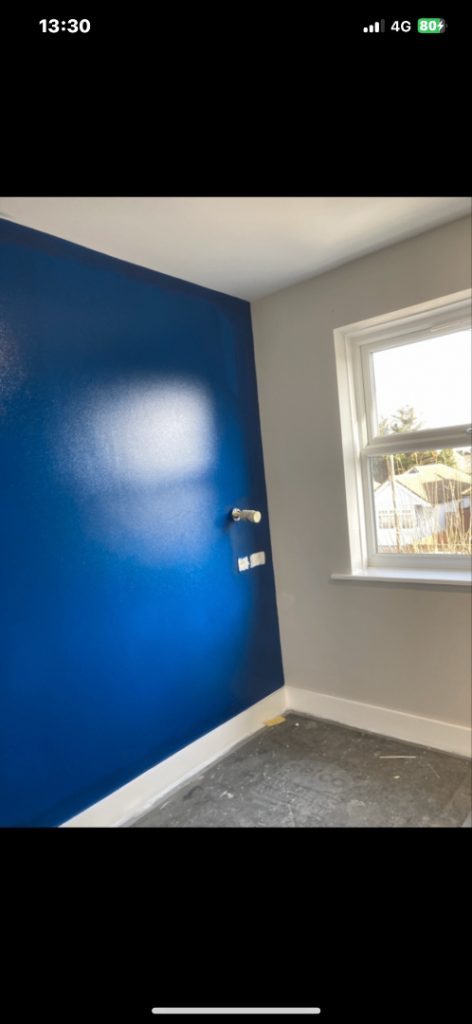 Profesional Painter &  Decorator