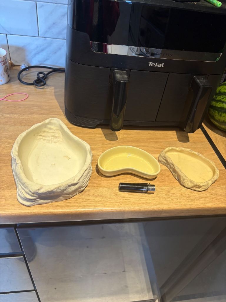 3 snake reptile bearded dragon vivarium feeding dishes 