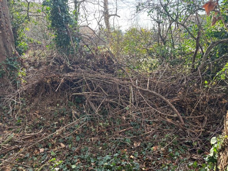 Free wood kindling and wood - ideal for open fire 