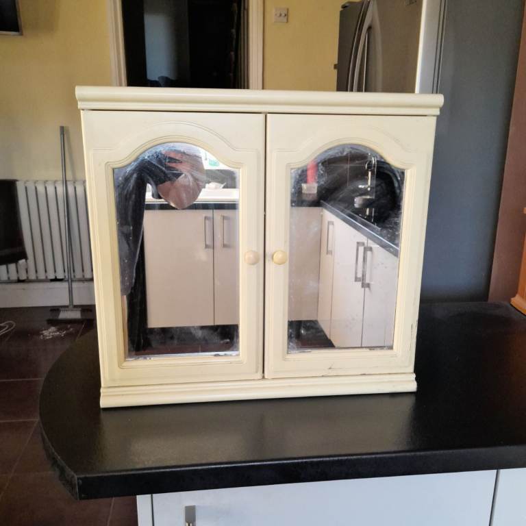 Vintage Plastic Wall Cabinet