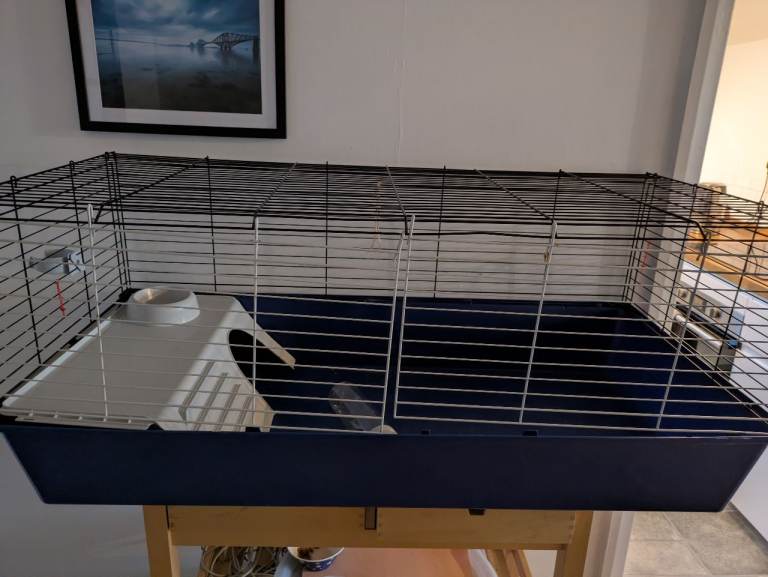 Rabbit/guinea pig cage