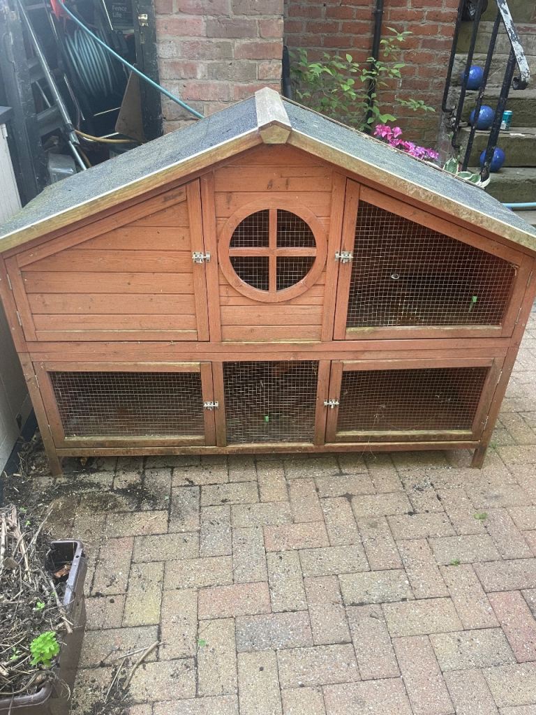 Guinea pig house