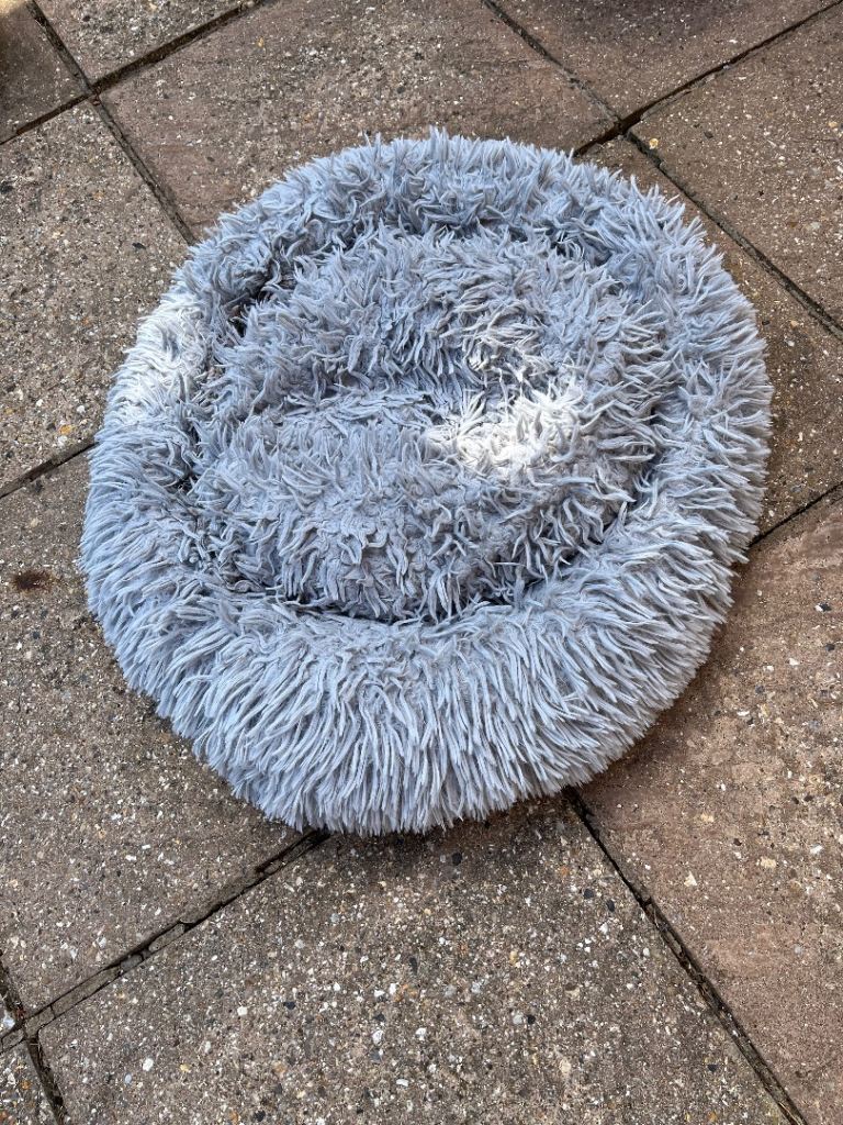 Cat bed